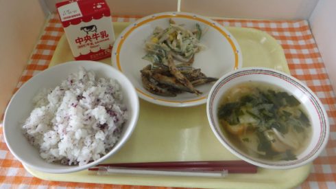RIMG2987