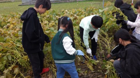 １・６年（２）